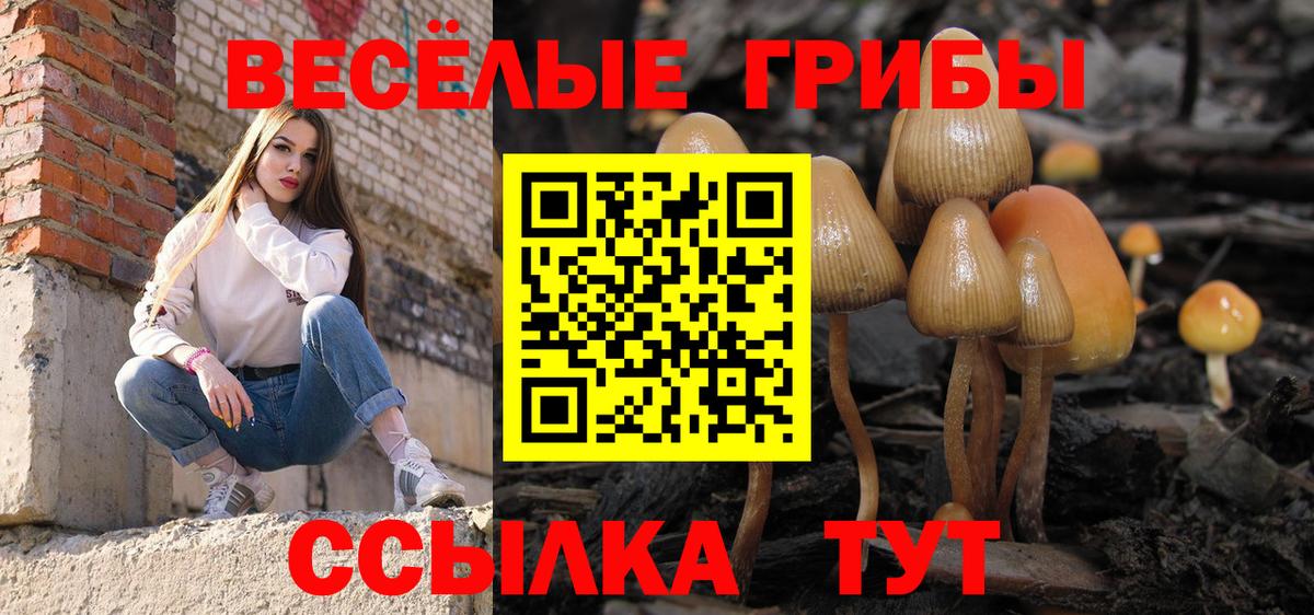 Новодвинск  Галлюциногенные грибы Psilocybine cubensis  Вход с VPN 