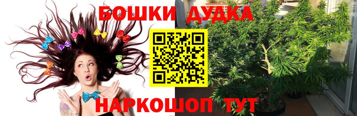 Бошки Шишки White Widow Новодвинск